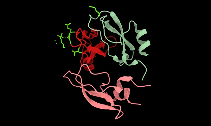 ToxinPred Peptide Toxicity Prediction